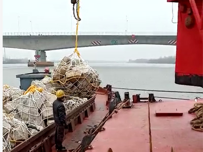 客戶案例